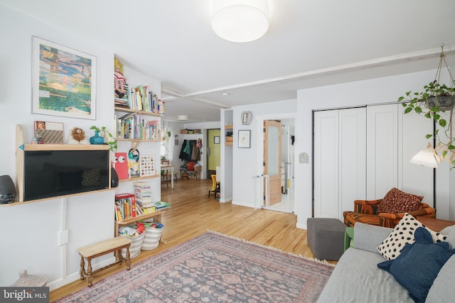 living room with hardwood / wood-style floors