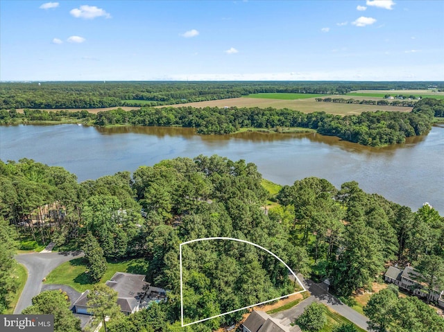 10661 Piney Island Dr, Bishopville MD, 21813 land for sale