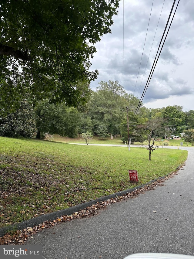 view of community with a yard