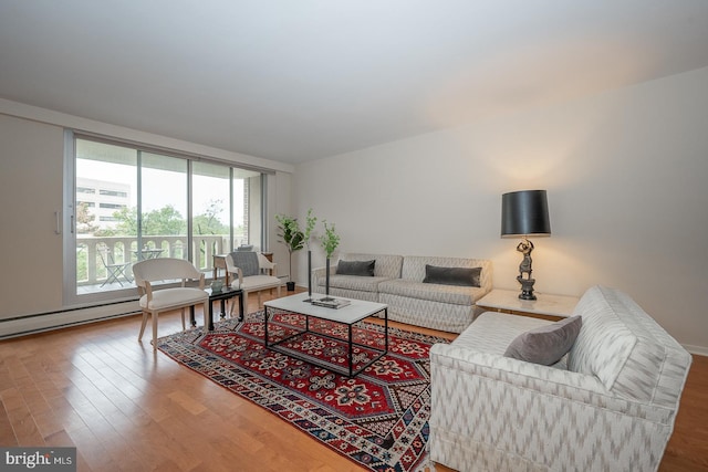 living room featuring wood-type flooring