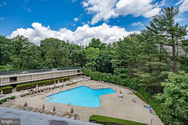 view of pool with a patio