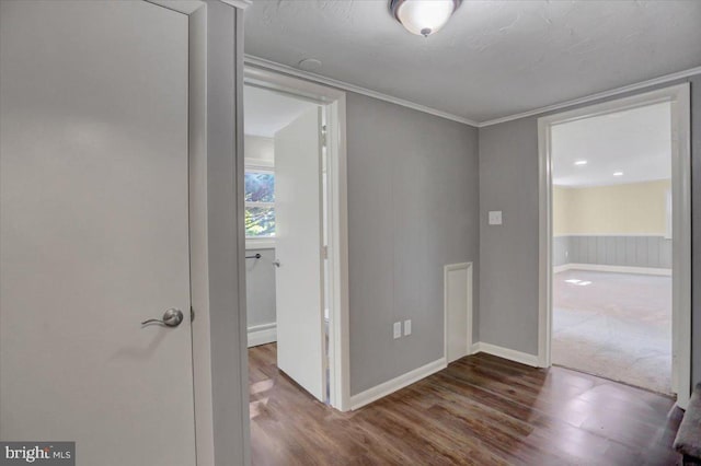 hallway with dark hardwood / wood-style floors and ornamental molding