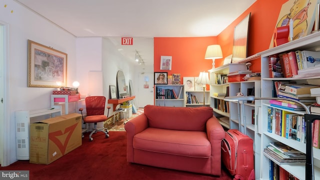 living area with dark colored carpet and rail lighting