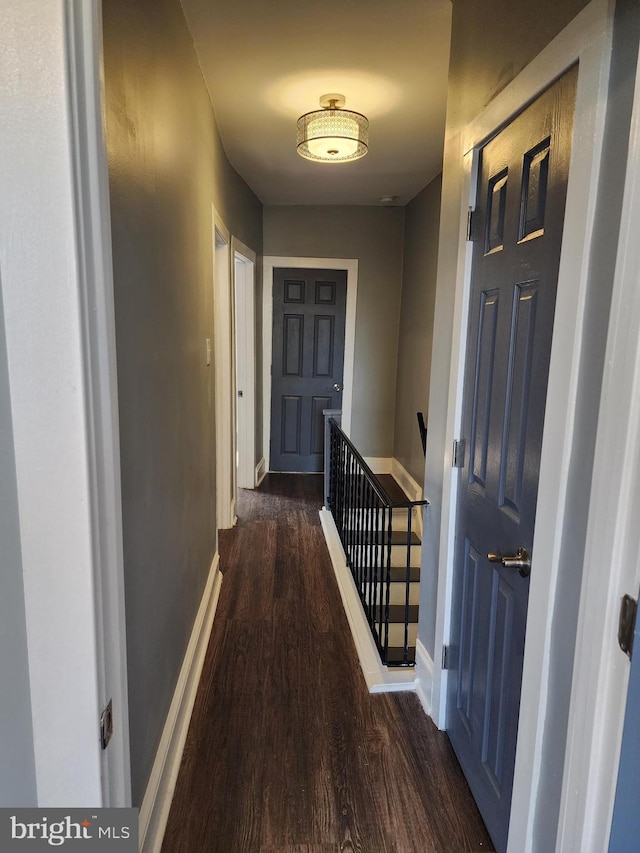 hall with dark hardwood / wood-style flooring