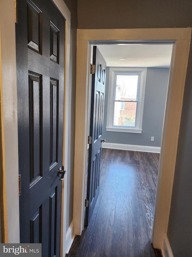 hallway with dark wood-type flooring