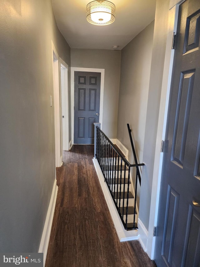 hall with dark wood-type flooring