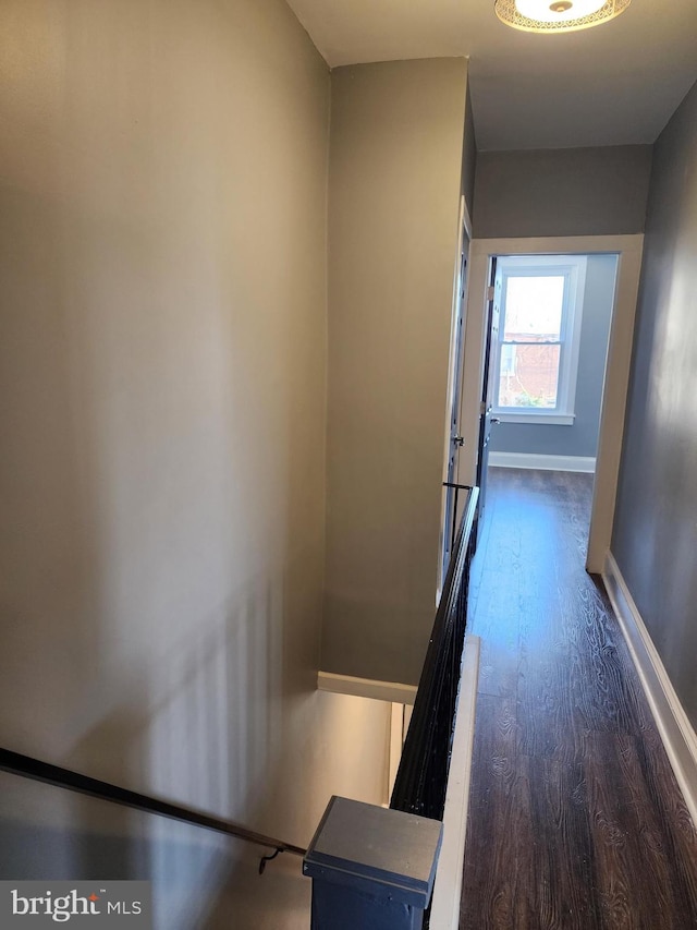 corridor with dark hardwood / wood-style flooring