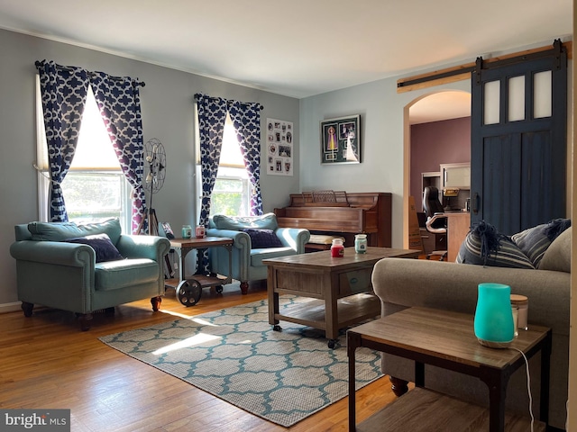 living room featuring hardwood / wood-style flooring and a barn door