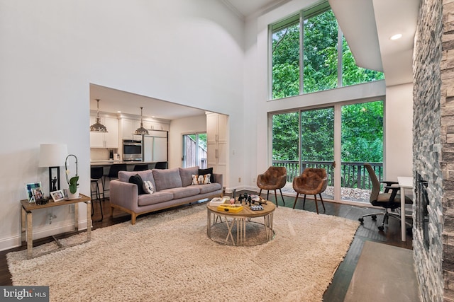 living room featuring dark hardwood / wood-style floors and a towering ceiling