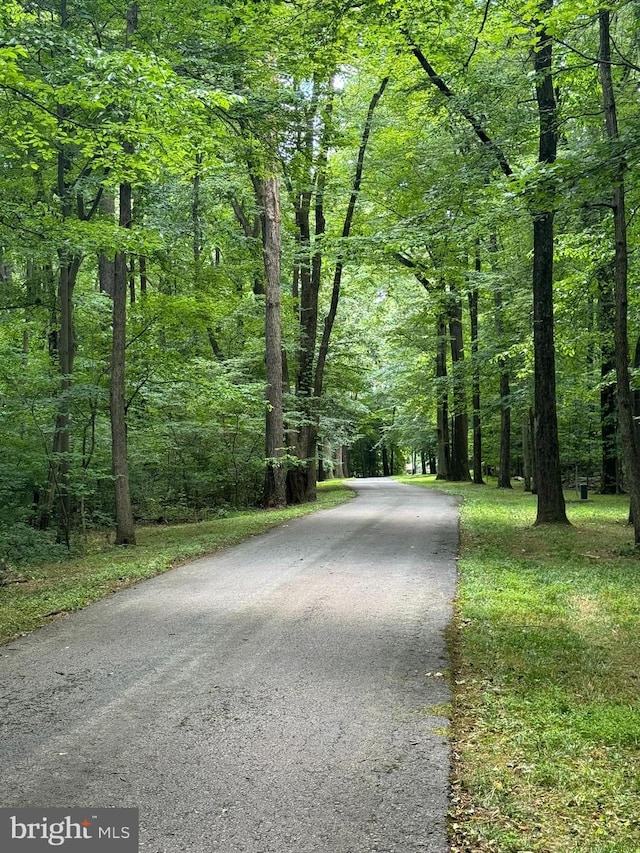 view of road