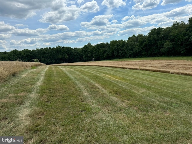 4635 Newark Rd, Cochranville, PA 19330 - view of yard with a wooded view and a rural view