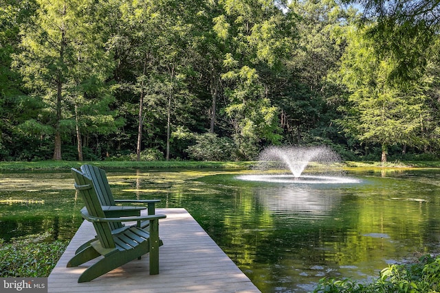 view of dock with a water view