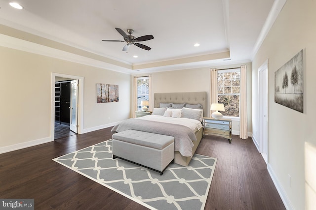 bedroom with ceiling fan, dark hardwood / wood-style flooring, a tray ceiling, a walk in closet, and ornamental molding