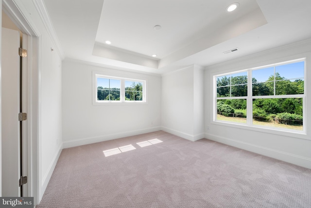 carpeted empty room featuring a tray ceiling and crown molding