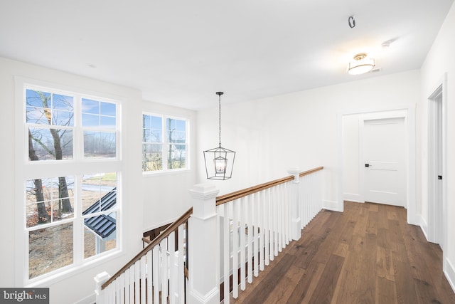 hall featuring a notable chandelier and dark hardwood / wood-style flooring