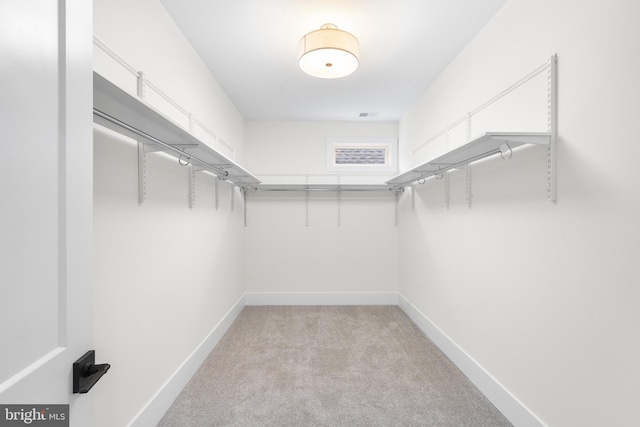 walk in closet featuring light colored carpet