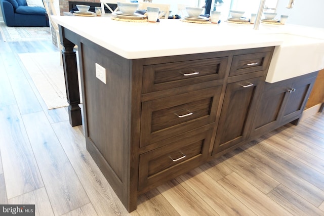 details featuring dark brown cabinets and light hardwood / wood-style floors