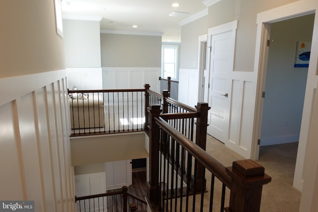 stairs featuring carpet and ornamental molding