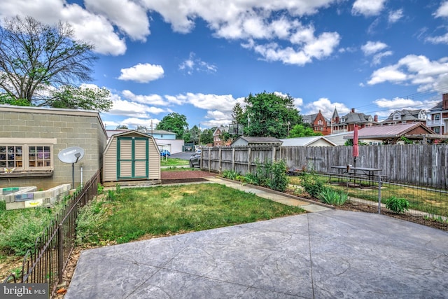 view of yard with a storage unit and a patio area