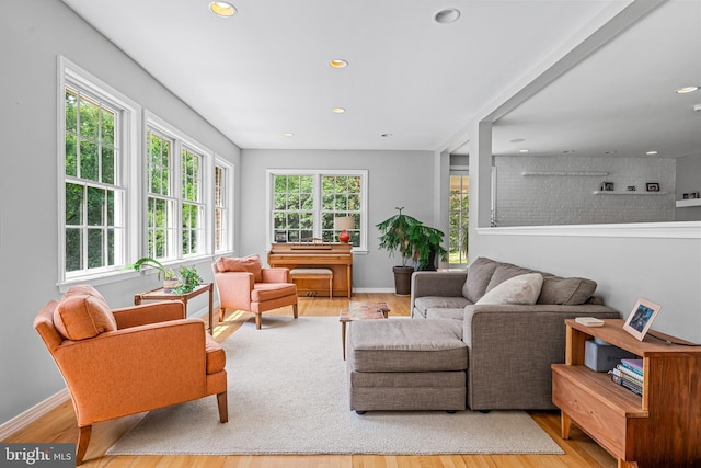 living room with hardwood / wood-style flooring