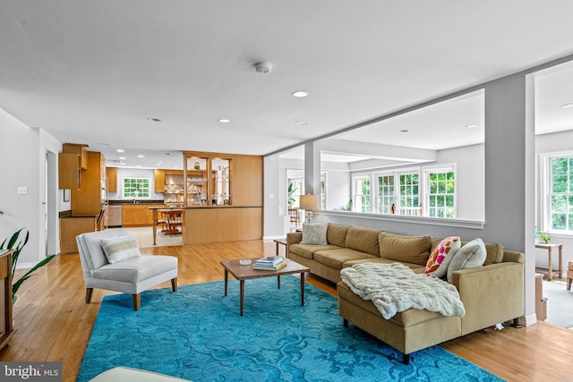 living room featuring light wood-type flooring