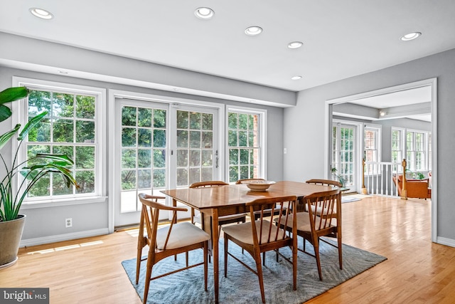 dining room featuring light wood-type flooring and plenty of natural light