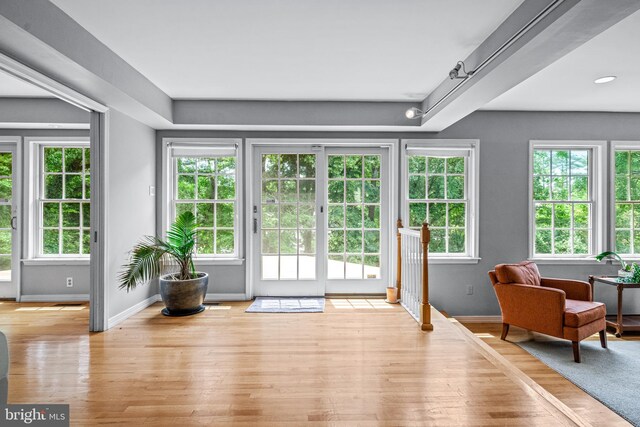 doorway to outside with plenty of natural light and light hardwood / wood-style floors