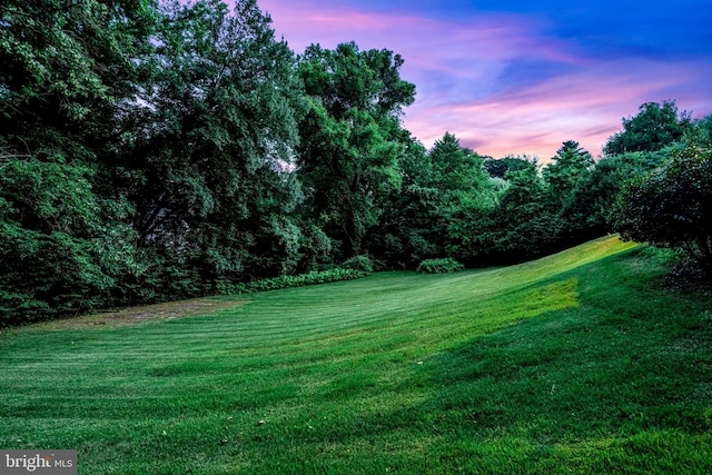 view of yard at dusk