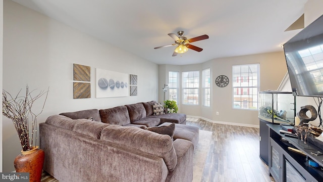 living room with hardwood / wood-style flooring and ceiling fan