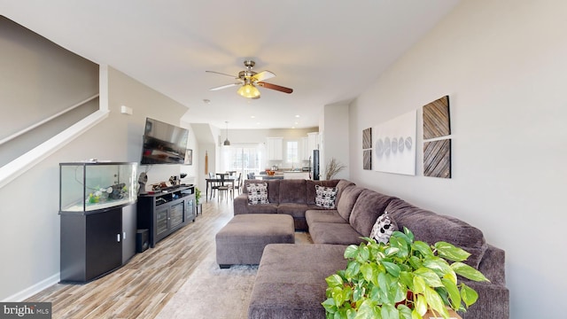 living room featuring ceiling fan and light hardwood / wood-style floors