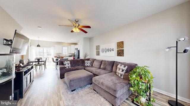 living room with ceiling fan and light hardwood / wood-style floors