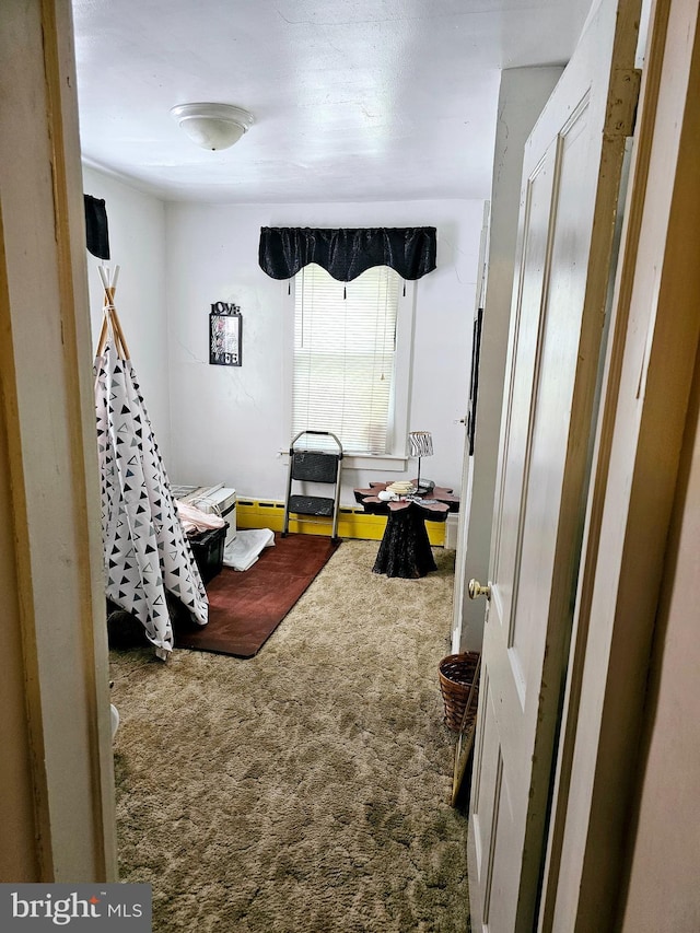 bedroom featuring carpet flooring