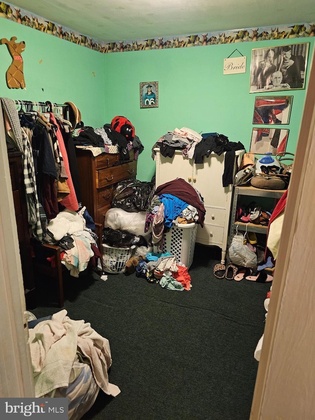 bedroom featuring carpet flooring