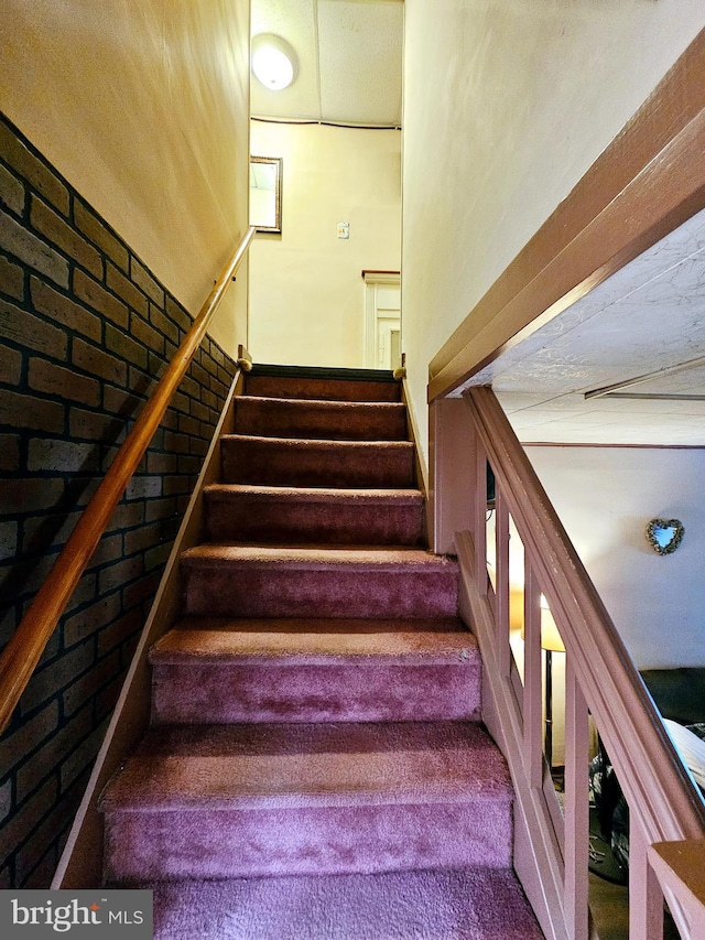 stairway featuring carpet flooring