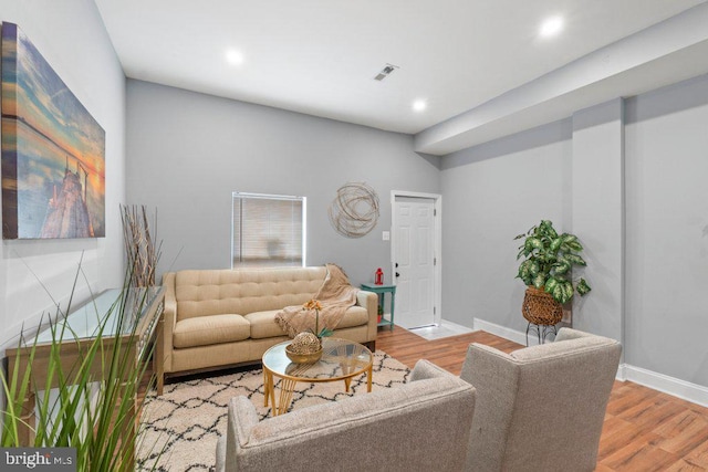 living room featuring wood-type flooring