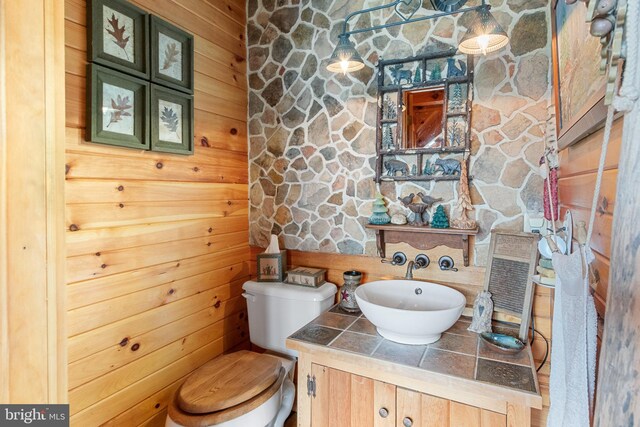 bathroom with vanity, wooden walls, and toilet