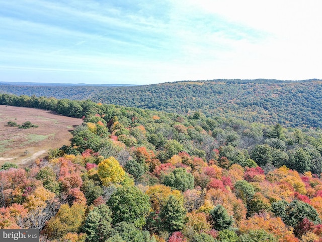 bird's eye view