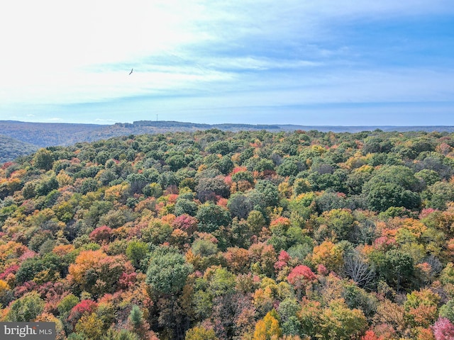 bird's eye view