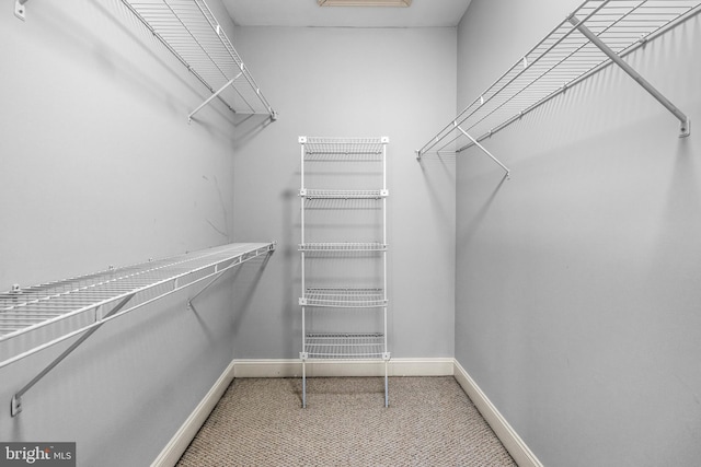 spacious closet with carpet floors