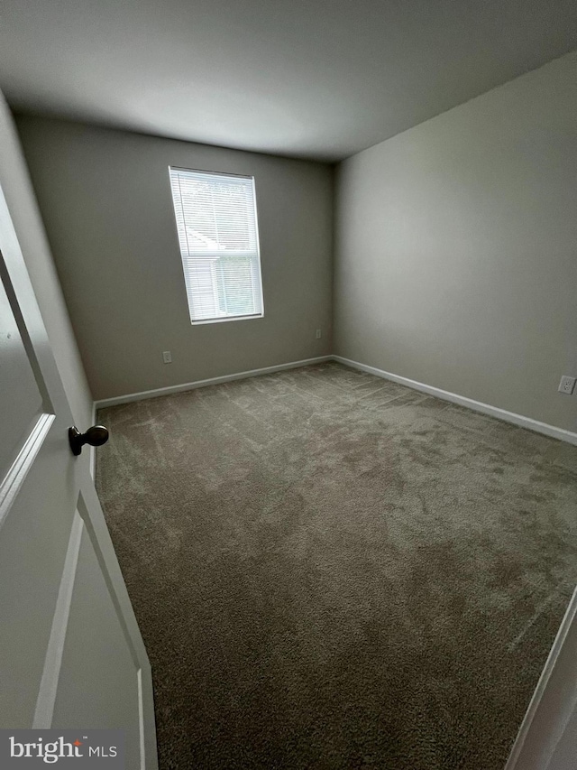 empty room featuring carpet floors