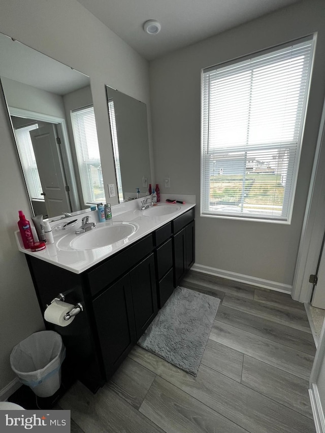 bathroom with hardwood / wood-style flooring and vanity