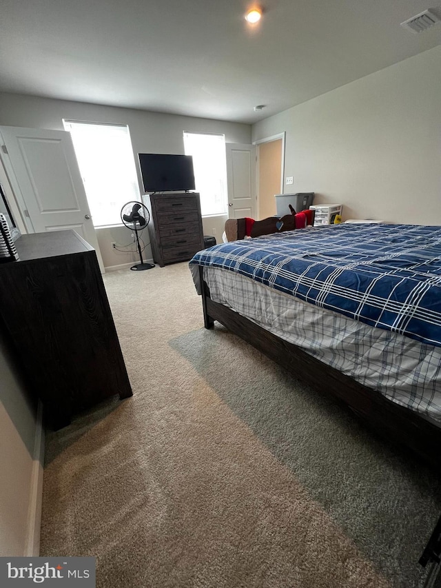 bedroom with carpet