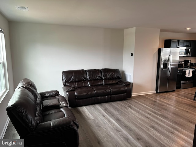 living room featuring wood-type flooring