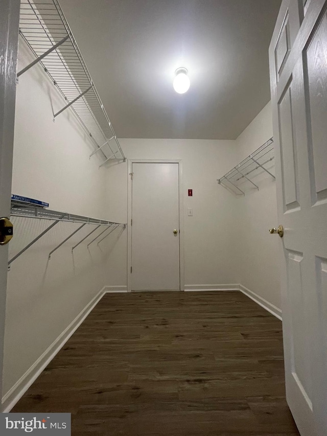 spacious closet featuring dark hardwood / wood-style flooring