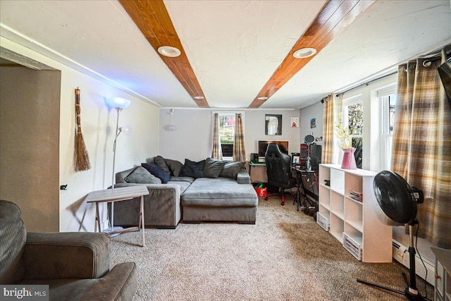 living room featuring plenty of natural light, carpet floors, and a baseboard heating unit