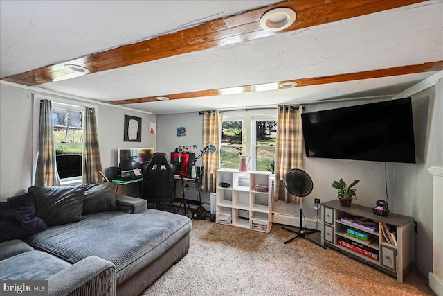 carpeted living room with a baseboard radiator