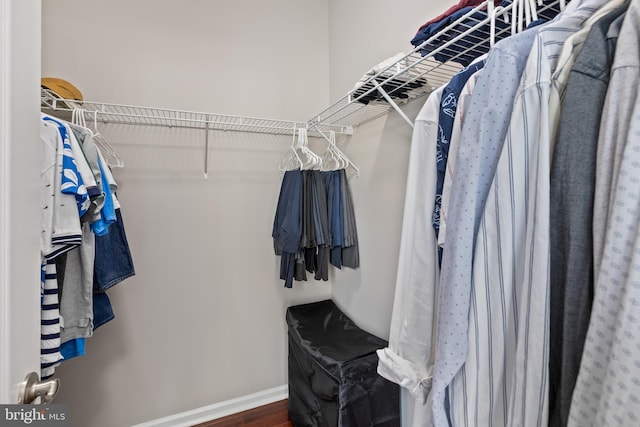 walk in closet featuring dark wood-type flooring