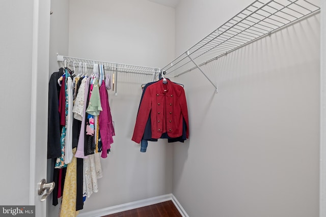 walk in closet featuring wood finished floors