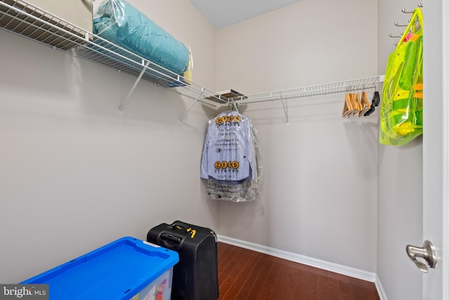 spacious closet with dark wood-type flooring