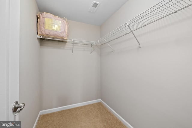 spacious closet featuring carpet and visible vents